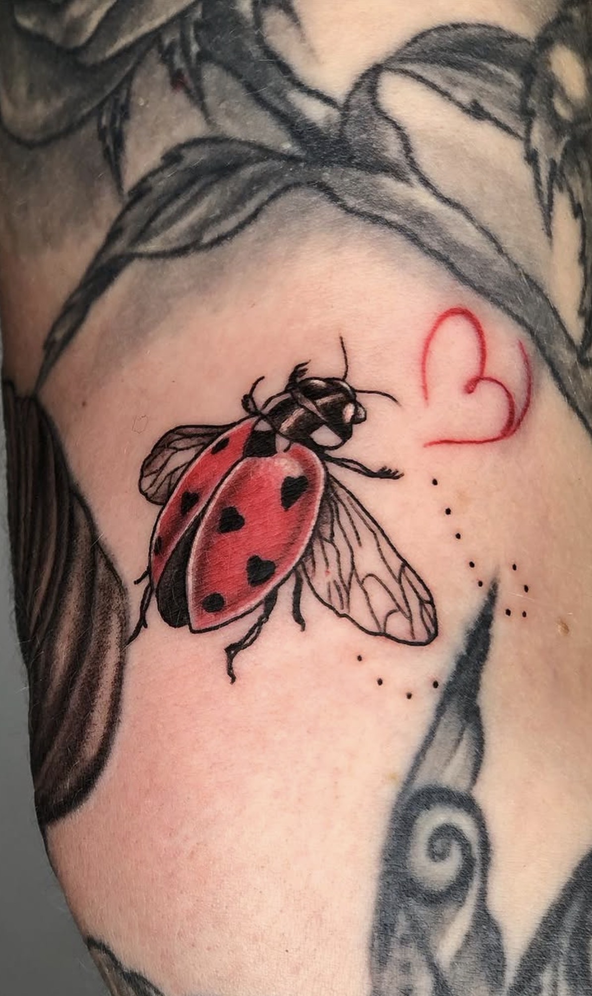 Roter Marienkäfer mit herzförmigen Punkten