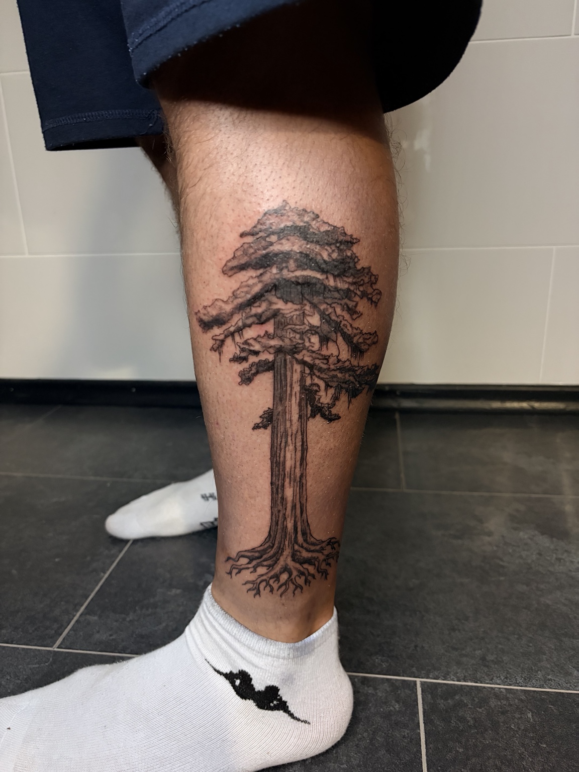 Detaillierter Baum mit Wurzeln auf der Wade